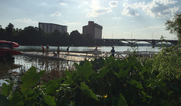 Rowers on the dock