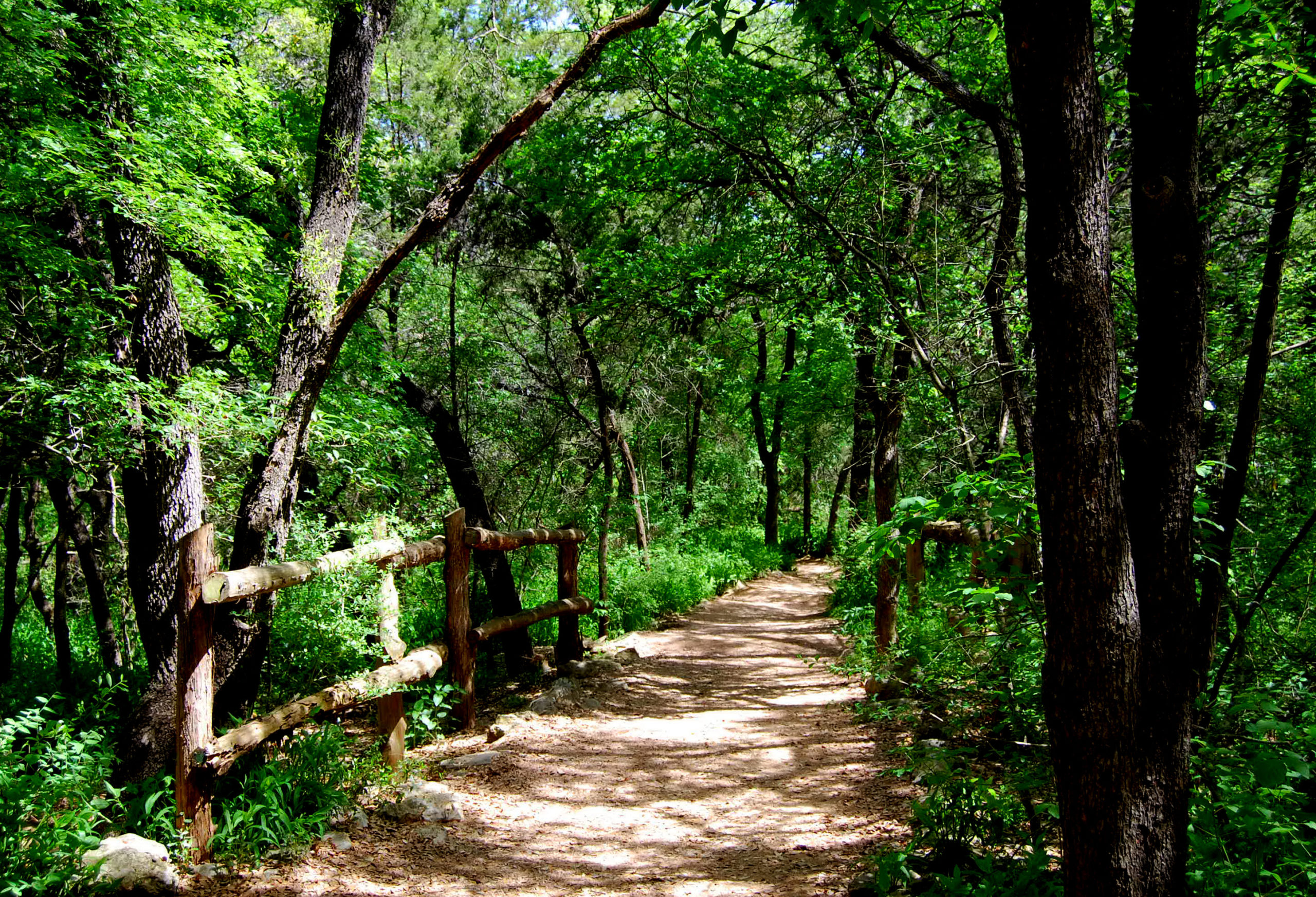 lengthy-delay-predicted-for-some-environmental-rules-austin