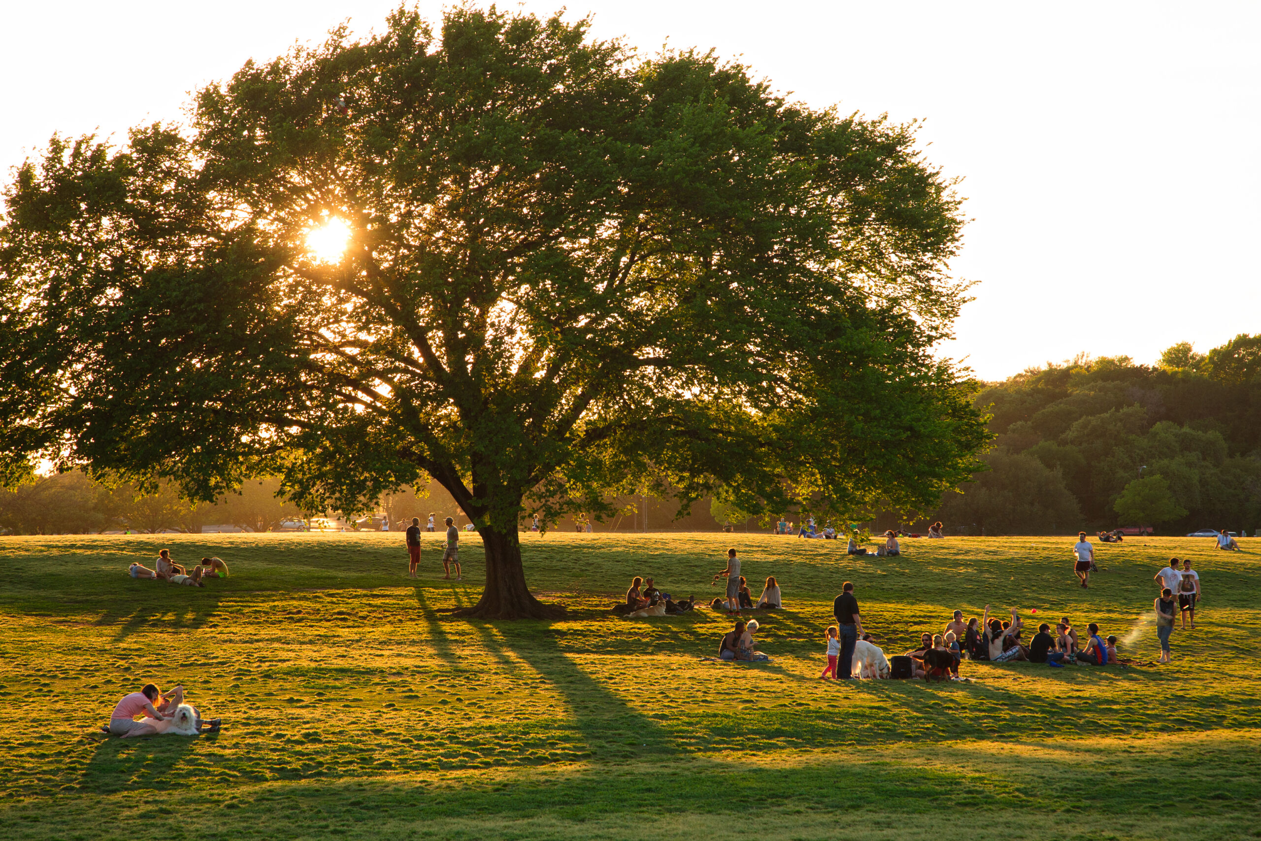 Austin cleanup designed to bridge invisible divide - Oak Park