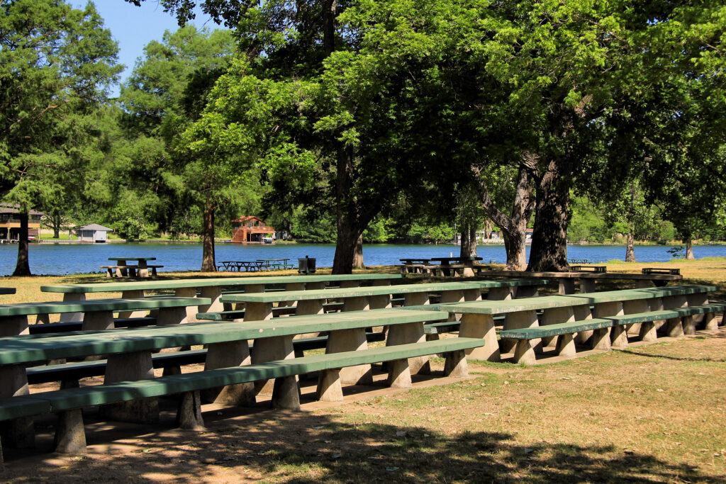 奥斯汀市公园捐赠法案限制新州法律
