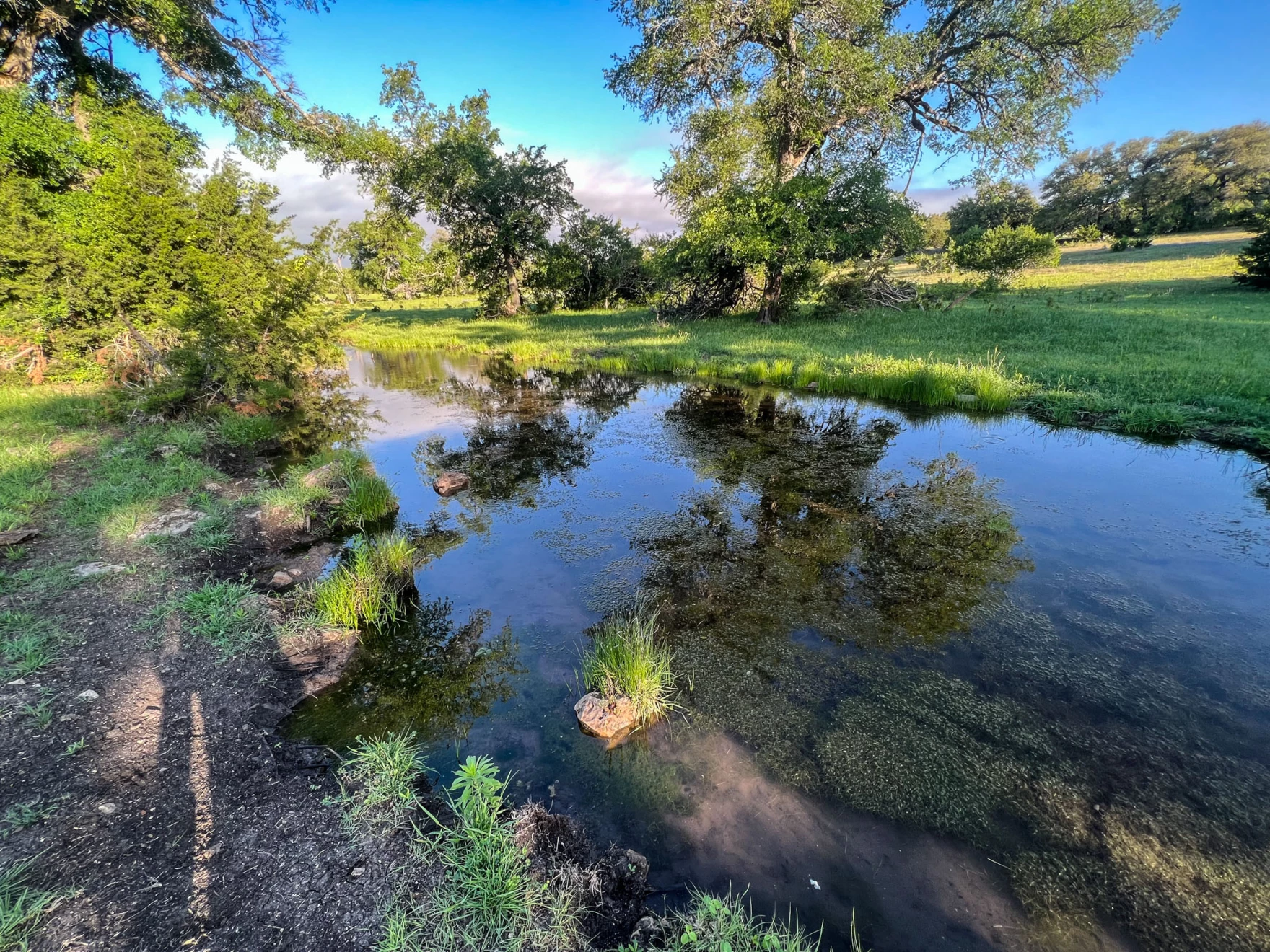奥斯汀北部有一个新的1200英亩自然保护区。以下是如何参观的方法。