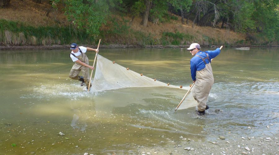 Austin explores new ways to assess water quality